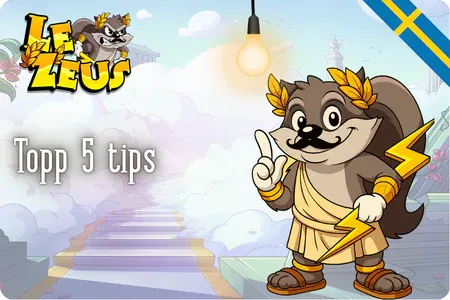 Topp 5 Tips